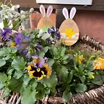 Apartamento Am Anger