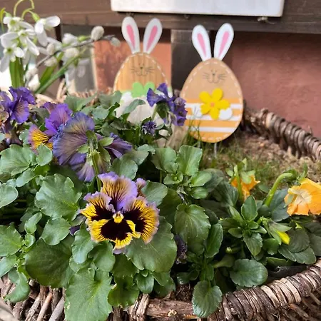 Апартаменты Am Anger